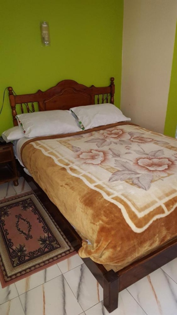 Hotel Aswan image 35